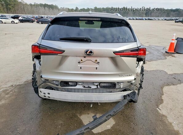 JTJBARBZ0K2204629 2019 LEXUS NX Silver Հետևի տեսք