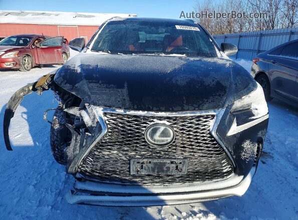 JTJBARBZ3H2097746 2017 LEXUS NX Black Widok z przodu