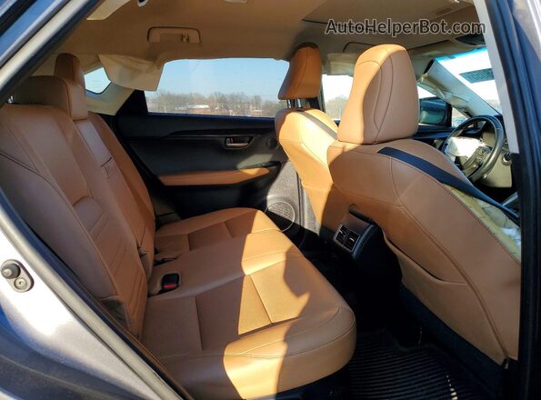 JTJBARBZ5G2063015 2016 LEXUS NX Gray Սալոնի հետևի տեսք