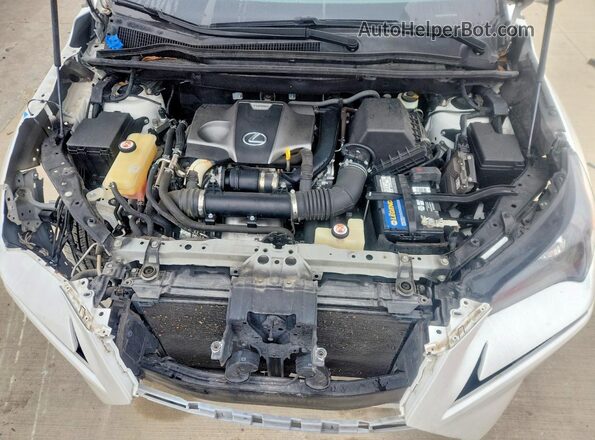 JTJBARBZ8K2193055 2019 LEXUS NX White Vista interior trasera