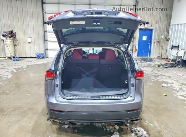 JTJBARBZ8K2217094 2019 LEXUS NX Серый Вид сзади