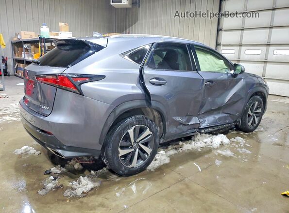 JTJBARBZ8K2217094 2019 LEXUS NX Серый Задняя правая четверть