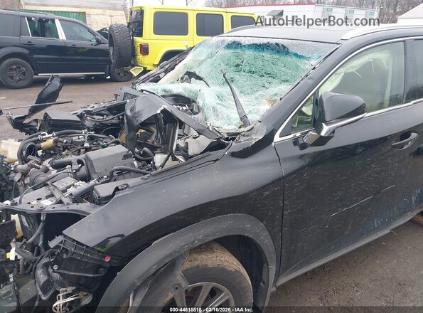 JTJBARBZ9H2102190 2017 LEXUS NX 200T Black წინა ხედი