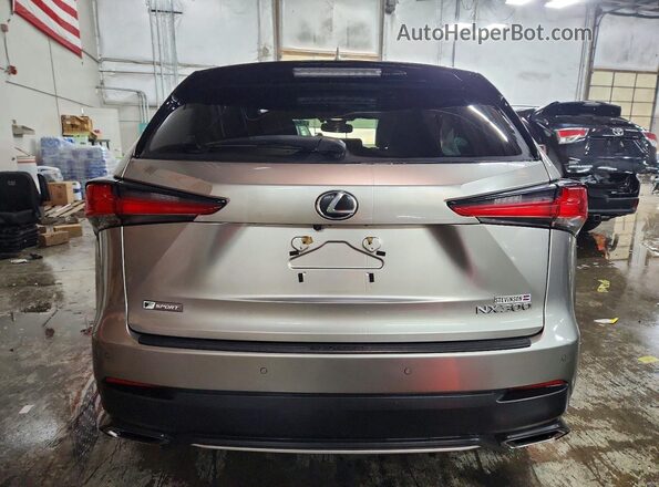 JTJBARBZ9J2171676 2018 LEXUS NX Brown Вид ззаду