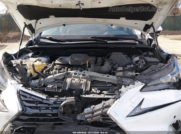 JTJBARBZ9K2207464 2019 LEXUS NX 300 Белый Вид сзади