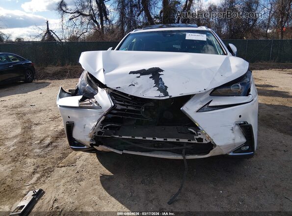 JTJBARBZ9K2207464 2019 LEXUS NX 300 Белый Вид спереди