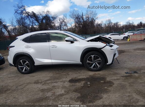 JTJBARBZ9K2207464 2019 LEXUS NX 300 Белый Панорамный вид салона 360°