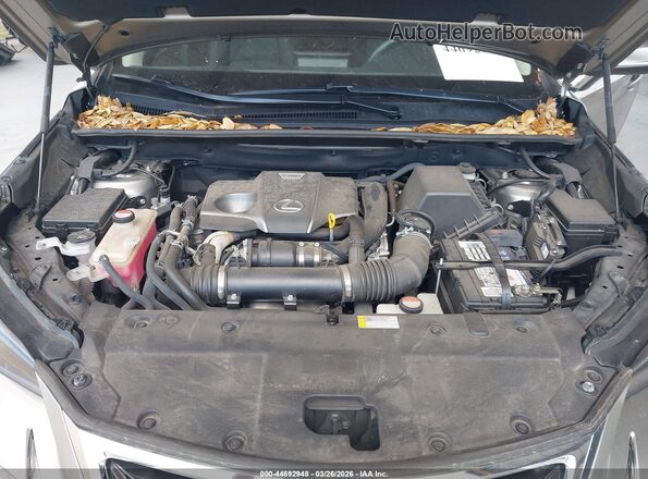 JTJBARBZXG2078285 2016 LEXUS NX 200T Gray უკანა ხედი