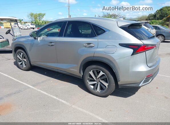JTJBJRBZ1K2124675 2019 LEXUS NX 300H Beige უკანა მარცხენა