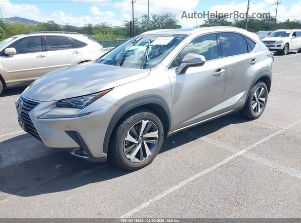 JTJBJRBZ1K2124675 2019 LEXUS NX 300H Beige წინა მარცხენა ხედი სამი მეოთხედიდან