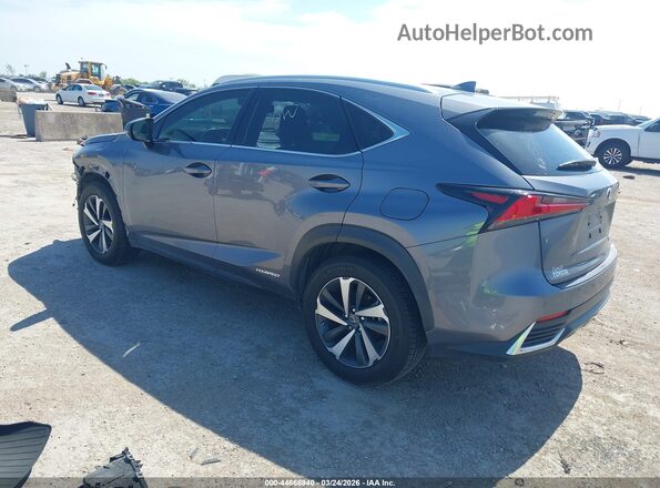 JTJBJRBZ2K2123325 2019 LEXUS NX 300H Gray Задня ліва чверть