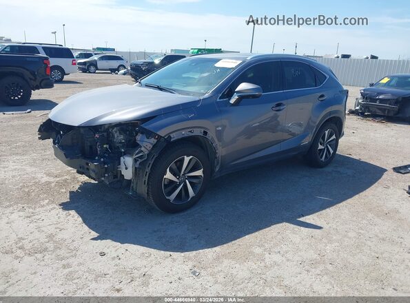 JTJBJRBZ2K2123325 2019 LEXUS NX 300H Gray Передня ліва чверть
