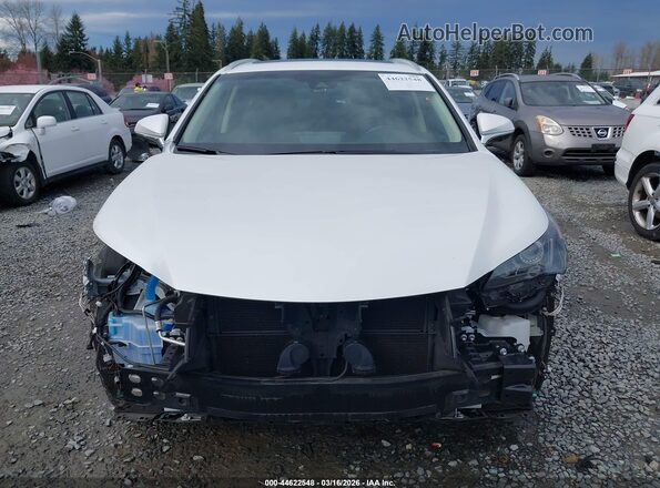 JTJBJRBZ7K2120999 2019 LEXUS NX 300H Белый Вид задней части салона