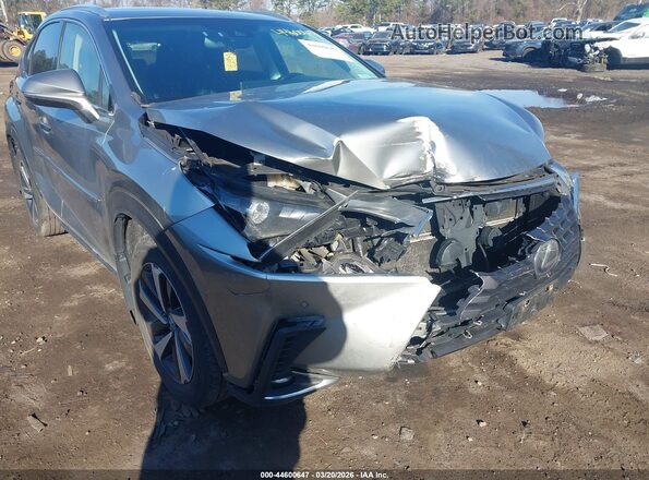 JTJBJRBZXJ2093053 2018 LEXUS NX 300H Серебряный Вид спереди