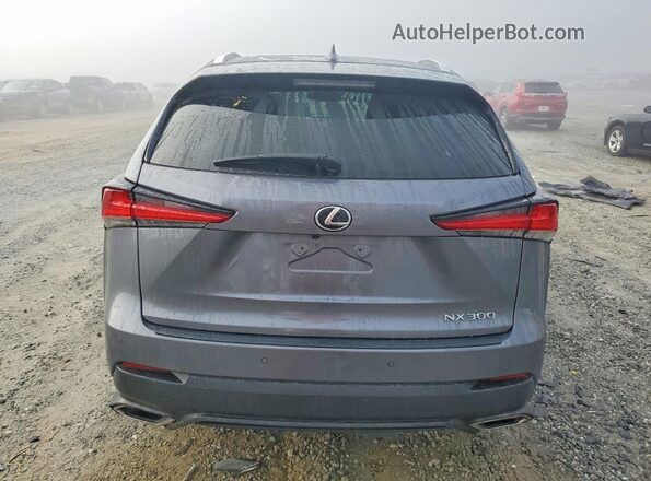 JTJDARBZ0M2190811 2021 LEXUS NX Gray Rear view
