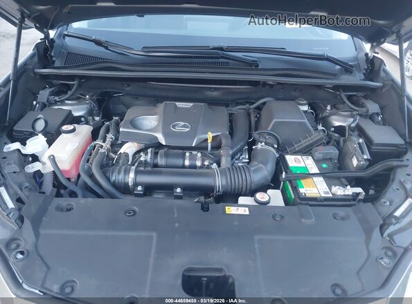 JTJDARBZ4L2166588 2020 LEXUS NX 300 Gray Widok z tyłu