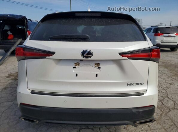 JTJDARBZ4M5024502 2021 LEXUS NX White Rear view