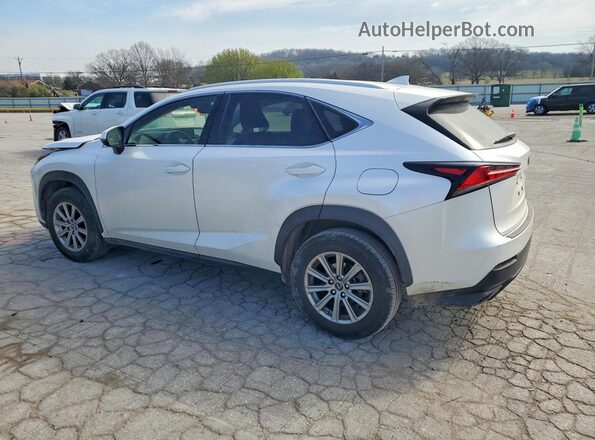 JTJDARBZ4M5024502 2021 LEXUS NX White Rear left