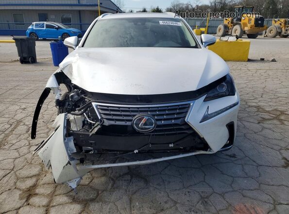 JTJDARBZ4M5024502 2021 LEXUS NX White Front view