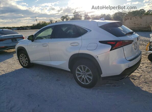 JTJDARBZ4M5031188 2021 LEXUS NX Белый 