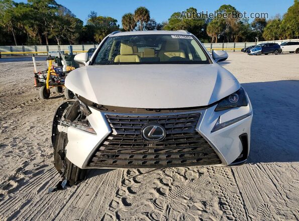 JTJDARBZ4M5031188 2021 LEXUS NX Белый 