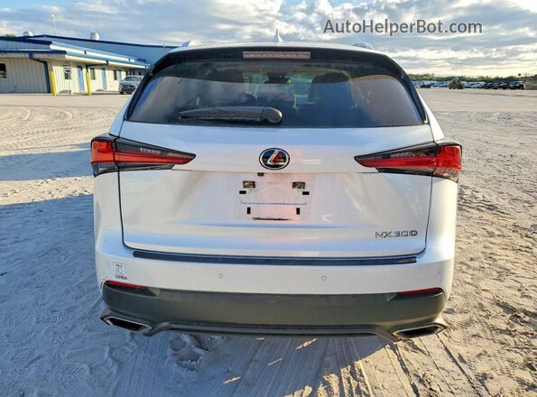JTJDARBZ4M5031188 2021 LEXUS NX Белый 