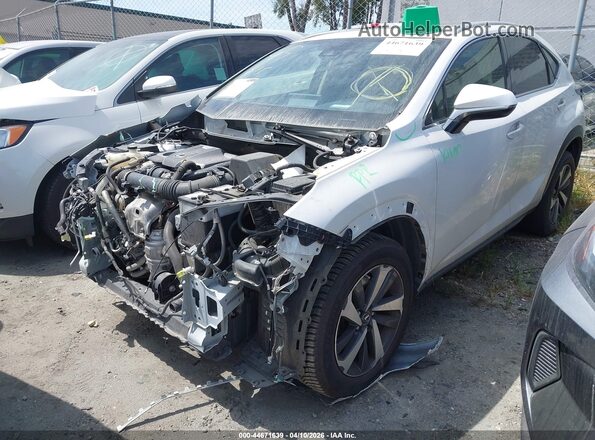 JTJDARBZ6L5003018 2020 LEXUS NX 300 White 