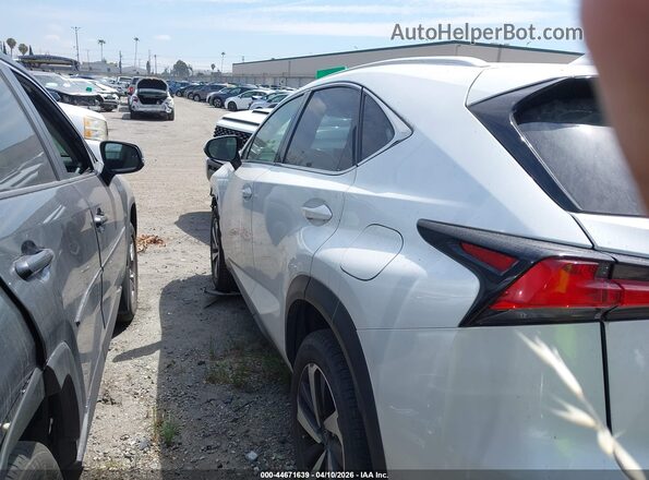 JTJDARBZ6L5003018 2020 LEXUS NX 300 White 