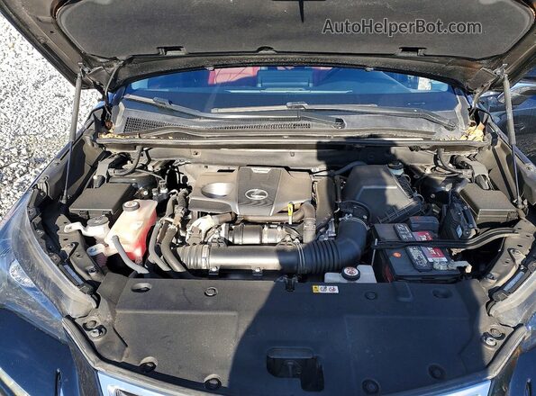 JTJDARBZ6M2181420 2021 LEXUS NX Black Սալոնի հետևի տեսք