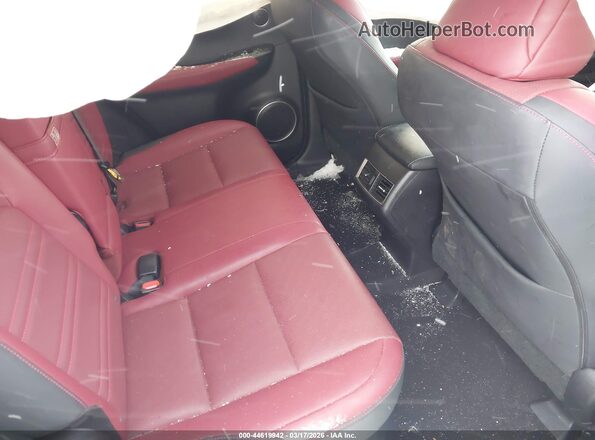 JTJDARBZ6M2185743 2021 LEXUS NX 300 Gray 