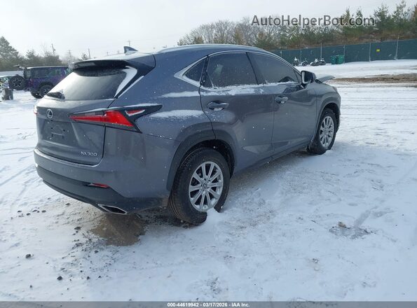 JTJDARBZ6M2185743 2021 LEXUS NX 300 Gray 