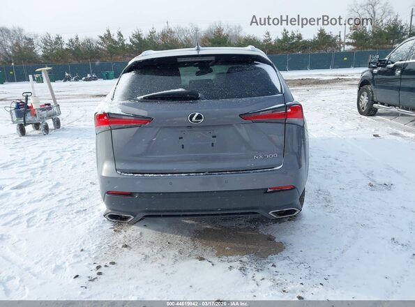 JTJDARBZ6M2185743 2021 LEXUS NX 300 Gray 