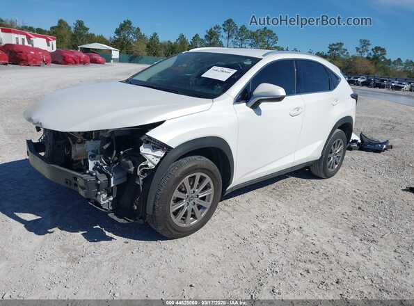 JTJDARBZ6M5028809 2021 LEXUS NX 300 White Առջևի ձախ երեք քառորդ տեսարան