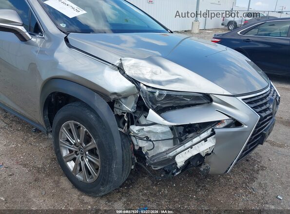 JTJDARBZ8L2171793 2020 LEXUS NX 300 Tan 