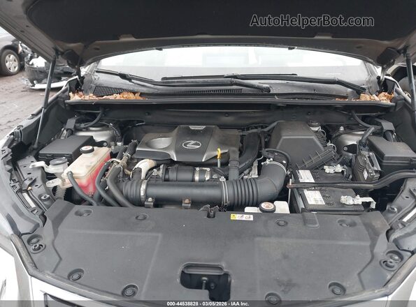 JTJDARDZ2L2226543 2020 LEXUS NX 300 Silver უკანა ხედი