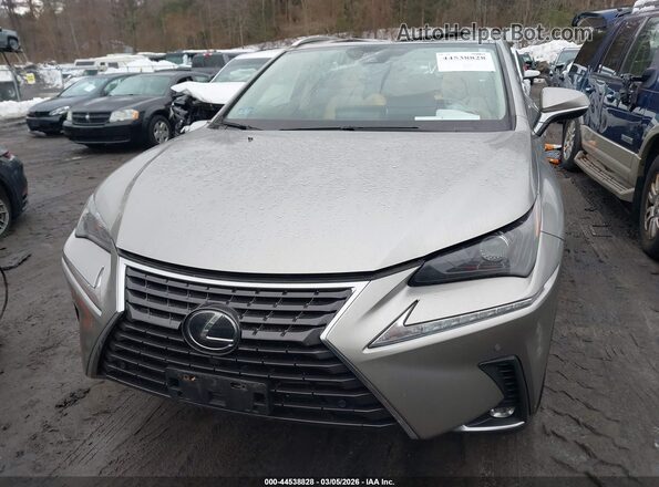 JTJDARDZ2L2226543 2020 LEXUS NX 300 Silver ხელსაწყოთა პანელის ხედი