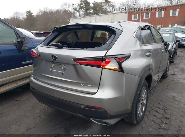 JTJDARDZ2L2226543 2020 LEXUS NX 300 Silver უკანა მარჯვენა