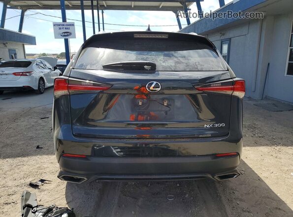 JTJDARDZ5M2245556 2021 LEXUS NX Black Rear view