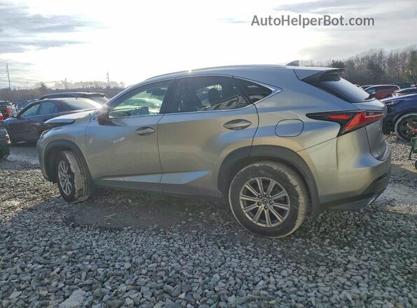 JTJDARDZ5M2246805 2021 LEXUS NX Gray Tył lewy