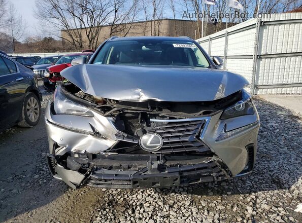 JTJDARDZ5M2246805 2021 LEXUS NX Gray Widok z przodu