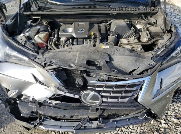 JTJDARDZ5M2246805 2021 LEXUS NX Gray Widok komory silnika