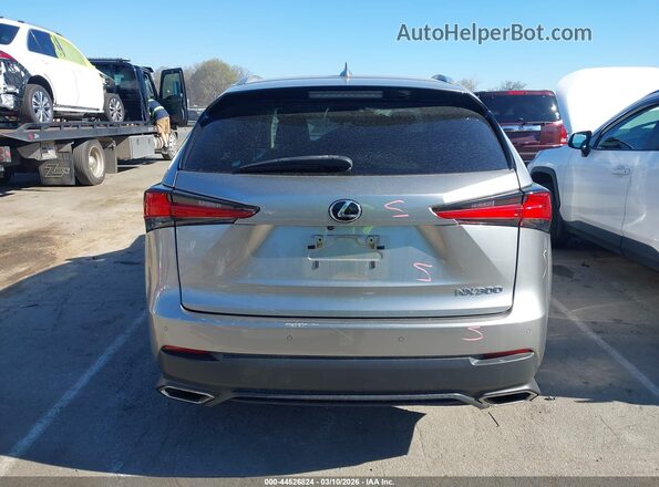 JTJDARDZ6M2238261 2021 LEXUS NX 300 Gray 