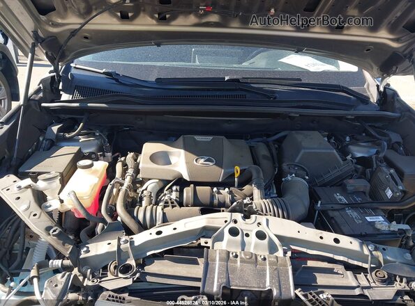 JTJDARDZ6M2238261 2021 LEXUS NX 300 Gray 