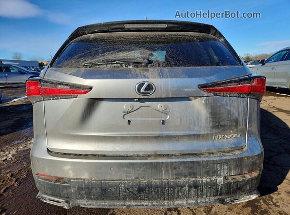 JTJDARDZ9M2244698 2021 LEXUS NX Gray Vista trasera