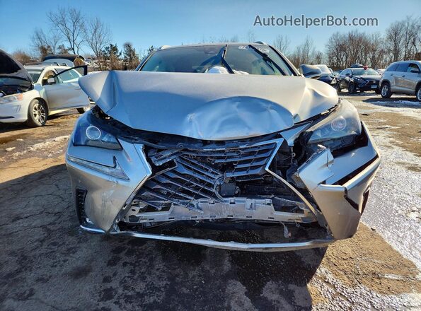 JTJDARDZ9M2244698 2021 LEXUS NX Gray Vista frontal