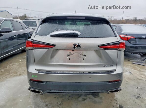 JTJDARDZ9M2259735 2021 LEXUS NX Silver Вид ззаду