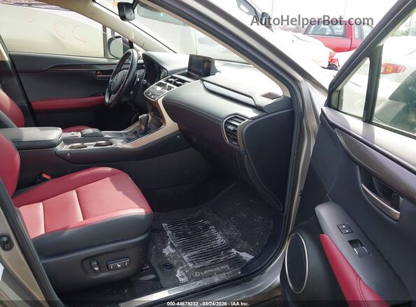 JTJDARDZXM5030012 2021 LEXUS NX 300 Gray 
