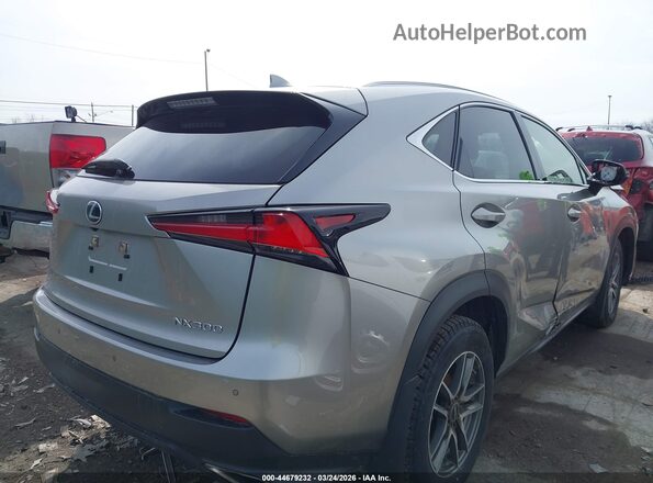 JTJDARDZXM5030012 2021 LEXUS NX 300 Gray 
