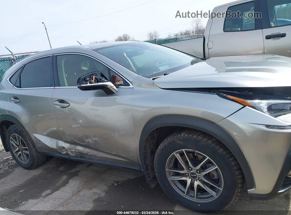 JTJDARDZXM5030012 2021 LEXUS NX 300 Gray 