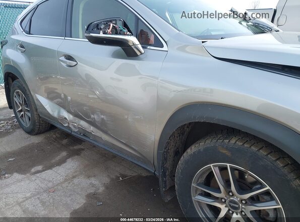 JTJDARDZXM5030012 2021 LEXUS NX 300 Gray 